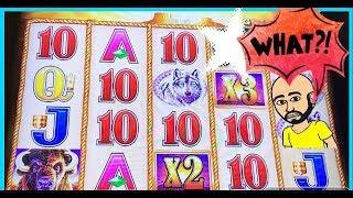 I CAN'T BELIEVE THIS! BUFFALO GOLD BONUSES