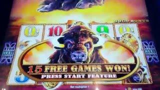 BUFFALO GOLD BONUS