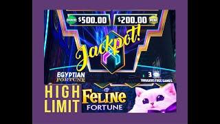 Egyptian Fortunes and Feline Fortunes Link! High Limit, Live Play and Free Games!