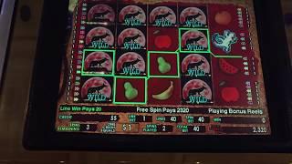 Coyote Moon High Limit Slot biggest Jackpot Handpay Payout  Bonus Big Win Slots Big Win