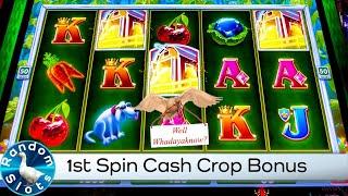 Cash Crop Slot Machine First Spin Bonus