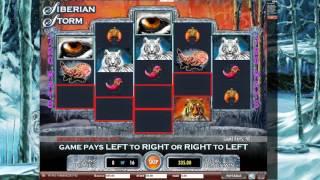Siberian Storm Slot Review (IGT)