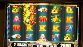 WMS Slot machine free spin bonus Exotic treasures