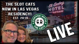 LIVE: Coffee with the Cats! ️  09/01/2019