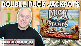 Double Duck Stamps JACKPOT! ️ Arctic Fox BONU$  | The Big Jackpot