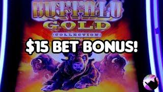 $15 Bet Bonus on Buffalo Gold!  Winning at Thunder Valley, Mohegan Sun, and Vegas!