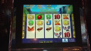 Blossom Wild slot machine Free Spin Bonus Max Bet Good win  IGT
