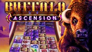 BUFFALO ASCENSION 5400 WAYS FREE SPINS SPOILER STAMPEDE PAID 200X for a HUGE WIN!!