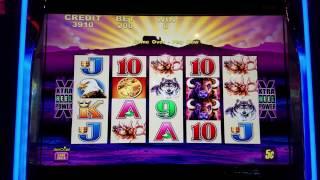 Buffalo Slot Machine  $250 Live Play