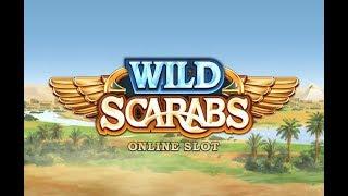 Wild Scarabs Online Slot from Microgaming with Stashed Wilds in Free Spins