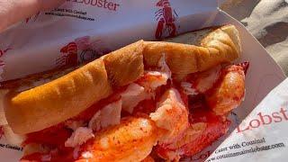COUSINS MAINE LOBSTER ROLL is AMAZING and here's why. Close up look at Cousins Food Truck