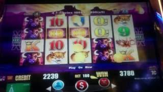 Wonder 4 Pompeii & Buffalo Slot Machine Bonus & Line Hits
