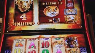 Buffalo Gold Slot | Original Buffalo & Indian Dreaming Slot Machine BONUSES !! WONDER 4 SLOT