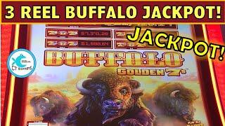 JACKPOT HANDPAY ON 3 REEL BUFFALO SLOT MACHINE ON FIRST ATTEMPT!!!! A HAIL MARY SUCCESS STORY! :)