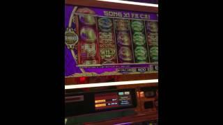 Jackpot on Gong Xi Fa Cai slot machine!