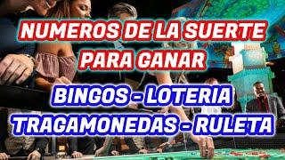 Lotería - Bingo - Tragamonedas - Ruleta  Números De La Suerte Para Apostar Y Ganar