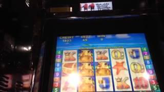 Turtle Treasures Slot Machine Live Play No Bonus