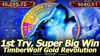 SUPER BIG WIN in the NEW TimberWolf Gold Revolution! Live Play and Bonuses at Circa in Las Vegas!
