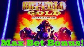 Big Win! Buffalo Gold Slot Machine, Max Bet Bonus, Live Play, By Aristocrat!