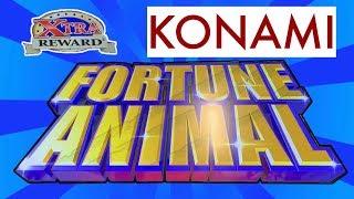 FORTUNE ANIMAL - KONAMI - FIRST PLAY!  OVER 100X !