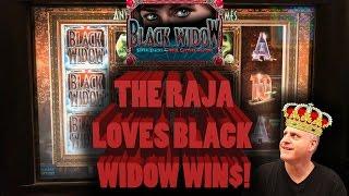 The Raja Loves  Black Widow Wins  | The Big Jackpot