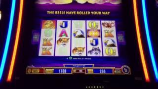Wonder 4 Tower Slot Machine Buffalo Bonus Caesars Casino Las Vegas