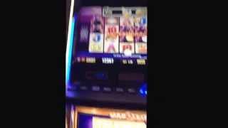 Buffalo cash express slot machine bonus!