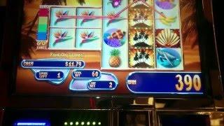 Fortunes of the Caribbean Slot Machine Bonus (2)