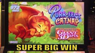 YAY ! SUPER BIG WINWW3 & PURR-FECT CATNAP (konami) Slot/ Free Play Live play & Super Big Win Bonus