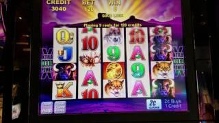 Buffalo Slot Machine LIVE play W Max Bet !Las Vegas Slots