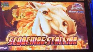Horse roaringSCORCHING STALLION Slot (KONAMI) $3.20 MAX Bet$125 Free Play Live @San Manuel