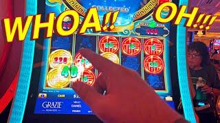 AWESOME NEW TIGER GAME!!!!!