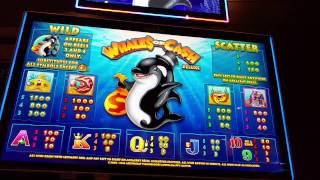 25 Free Games! 5 Scatter 5 cent BIG WIN  Whales of Cash Deluxe slot machine Aristocrat.