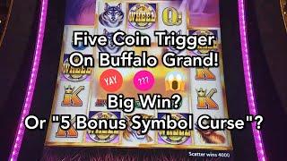 Five Coin Trigger on Buffalo Grand!  Big Win?  Or "5 Bonus Symbol Curse"?