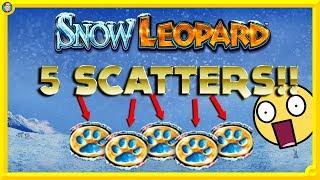 BIGGGGG !!! ULTRA RARE 5 SCATTERS on SNOW LEOPARD SLOT !!!
