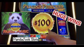 Panda vs.Peacock. Huge Wins! Dragon Link