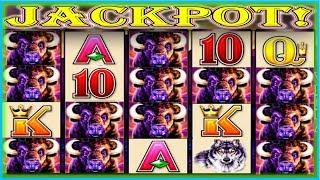 YOUTUBE 1ST! JACKPOT BEFORE BONUS! $20 BET HIGH LIMIT WONDER 4 SLOT MACHINE!