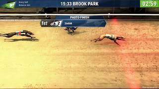 Playtech Virtual Sports – Greyhound Race