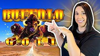 Back to the CASINO ! Back to chasing those 15 GOLD BUFFALO HEADS !