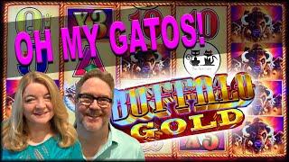 MEOW-VELOUS WIN ON BUFFALO GOLD