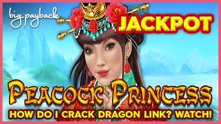 JACKPOT HANDPAY! Dragon Link Peacock Princess Slot - DREAM SESSION!!