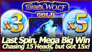 TimberWolf Gold Slot Machine - MEGA BIG WIN! Chasing 15 Gold Heads, Got 15x Wolves Instead!