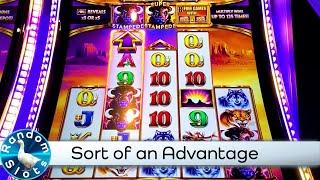 Buffalo Ascension Slot Machine with Minor Advantage