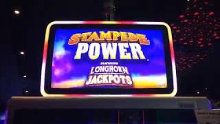 LONGHORN JACKPOTS ~ STAMPEDE POWER ~ Free Game Bonus ~ Live Slot Play @ San Manuel