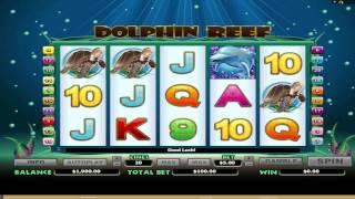 FREE Dolphin Reef  slot machine game preview by Slotozilla.com