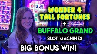 Buffalo Grand Slot Machine!  BIG BONUS WIN!!