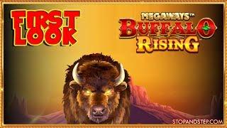 BOXING DAY GAMBLES  Buffalo Rising MEGAWAYS Slot & Dragon Bet Roulette !