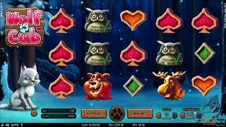 Wolf Cub Slot Features & Game Play - by NetEnt