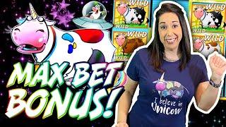 UNICOW after UNICOW after UNICOW // SLOT QUEEN moolah madness !