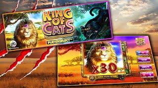 KING OF CATS MEGAWAYS (BIG TIME GAMING)  BIG WIN